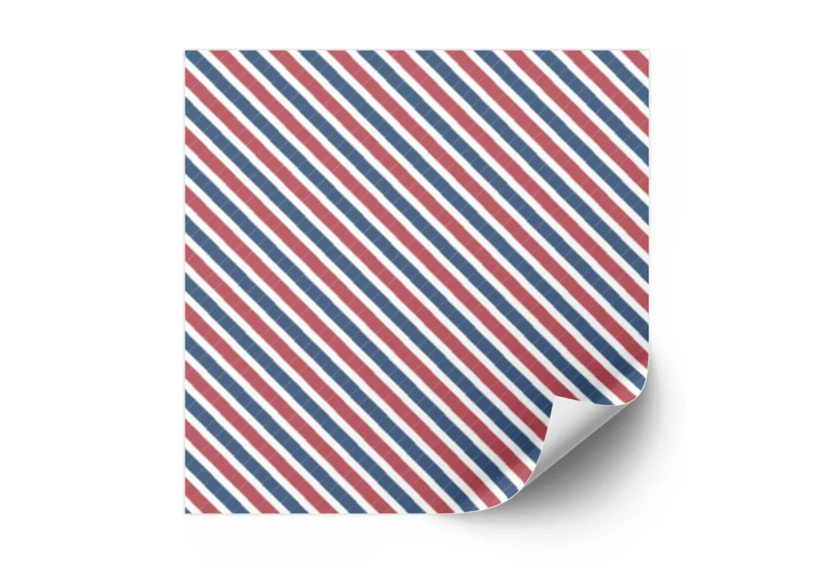 PAPEL DE REGALO CABALLEROS NRO.64 - Imagen 2
